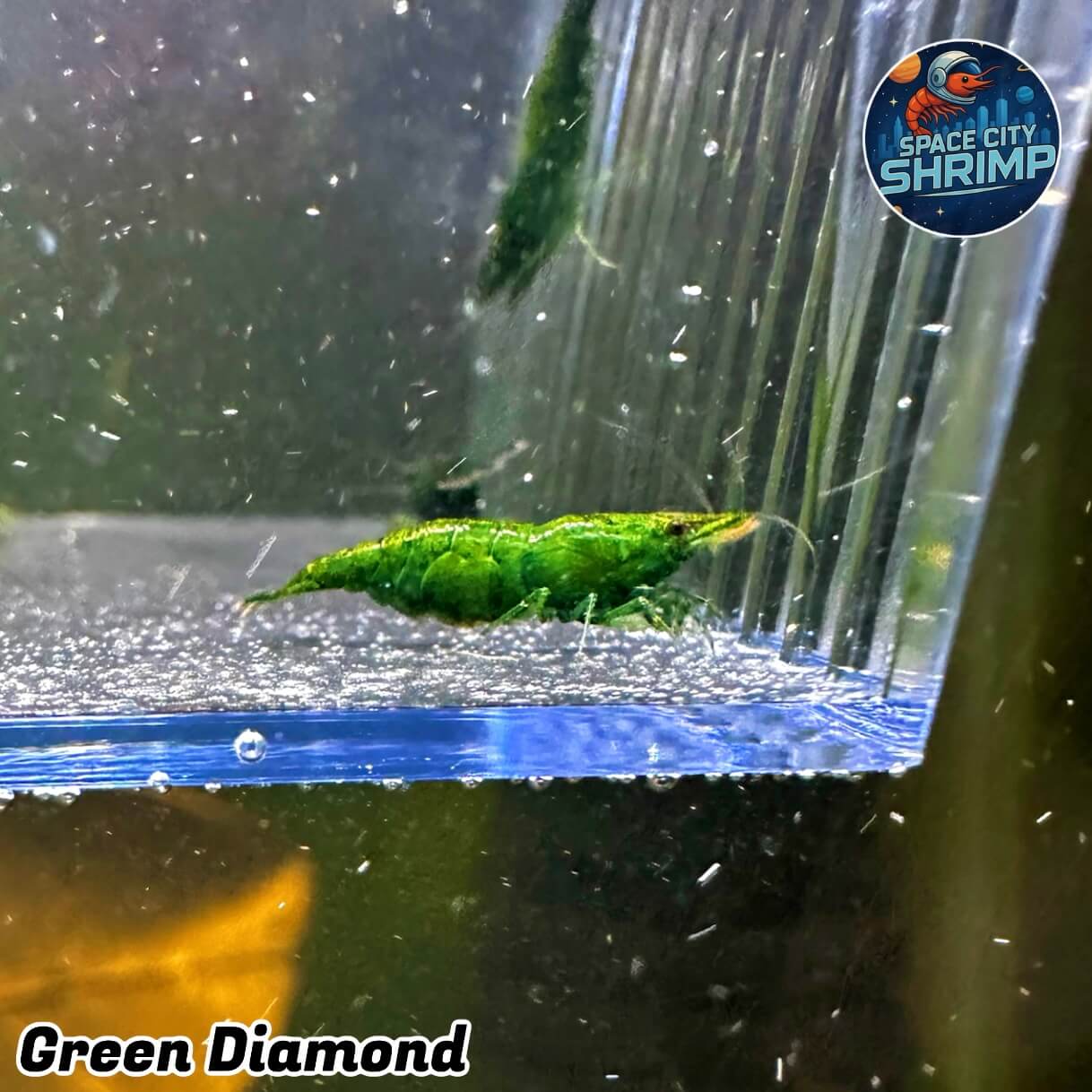 Green Diamond - Image 3