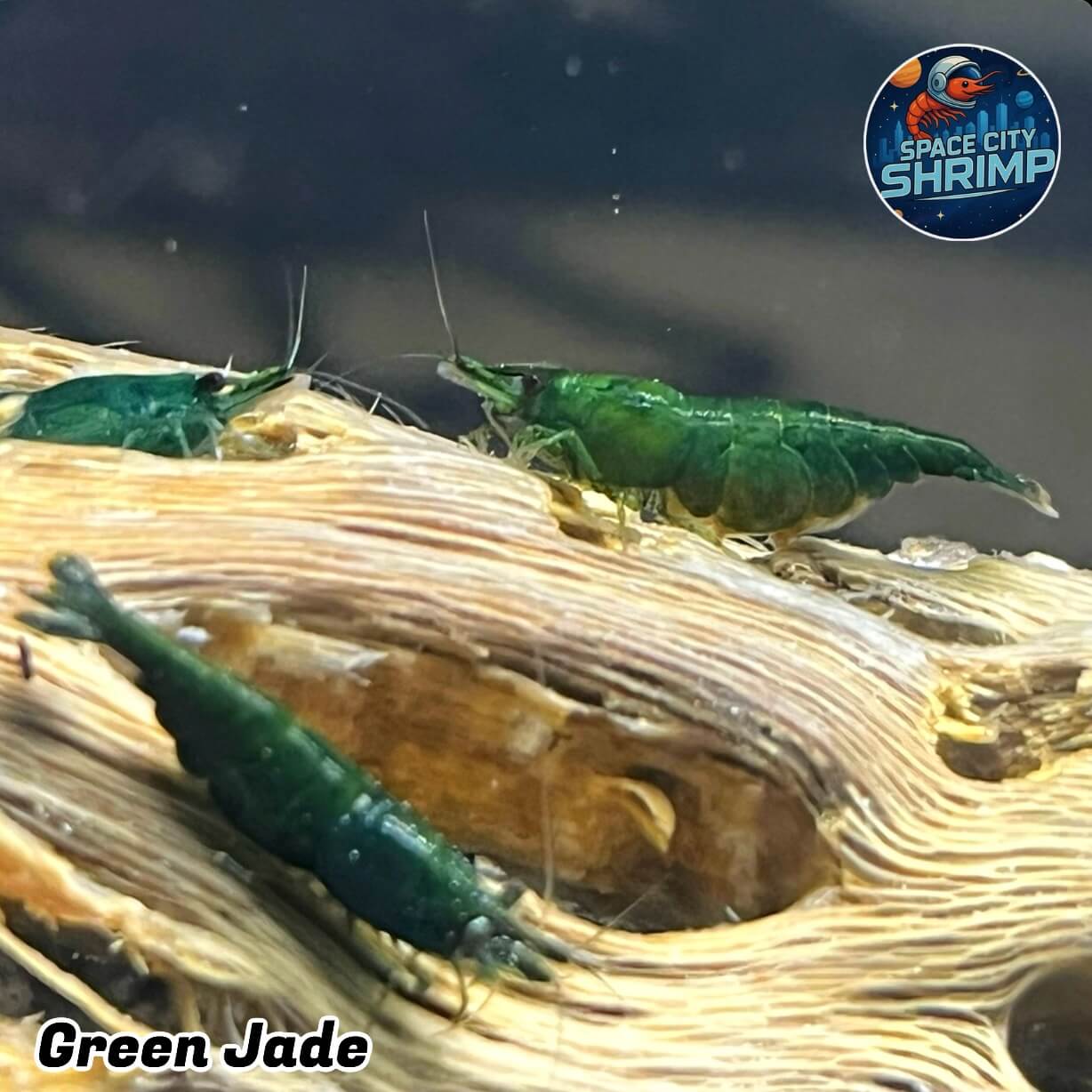 Green Jade